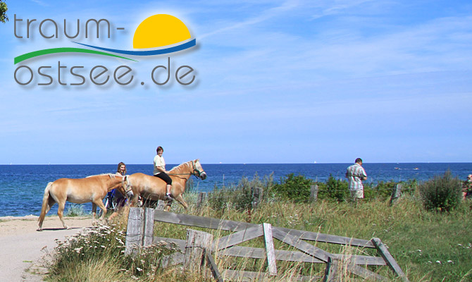 Reiten am Hohenfelder Strand